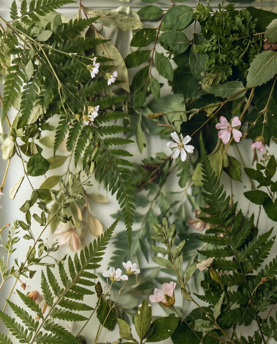 Botanical & Foliage Panels finish by MOOG